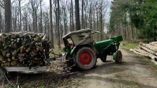 Holz machen mit dem Deuz D40 Motorsäge MS 260 und Spalthammer