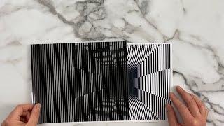 Moire Pattern optical illusions