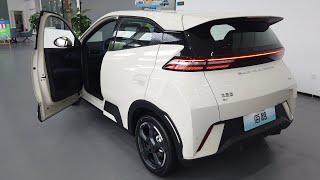 2024 BYD Seagull Mini Ev Review (Eng) | Only $9800 ? | BYD | China