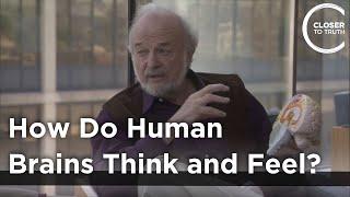 Stephen L. Chorover - How Do Human Brains Think and Feel?