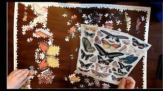 Vintage Puzzle Butterfly - 1000 Pieces - time lapse