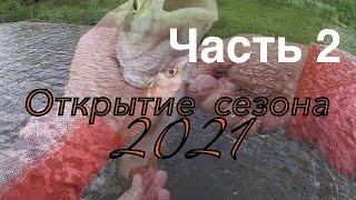 Ловля на Микроджиг | Голавль на силикон | Рыбалка 2021