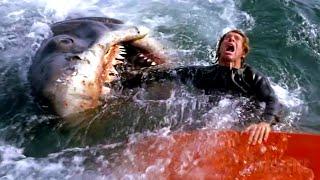 All the best shark attacks from Jaws  4K