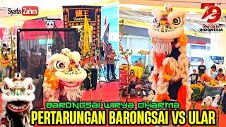  Atraksi Barongsai Wirya Dharma Bekasi | President Cup 2024 Lion Dance Competition