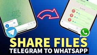 How To Share Audio File from Telegram to WhatsApp in iPhone I Send Audio from Telegram to WhatsApp