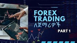 Introduction to Forex trading | Beginner's guide in Amharic