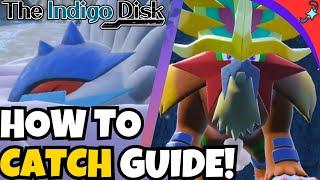 How to Catch Raging Bolt and Gouging Fire in Pokemon Indigo Disk