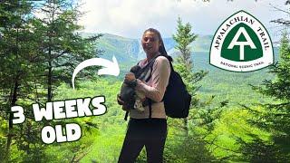 Getting Back Hiking on the Appalachian Trail & Doing Trail Magic for Thru-Hikers!