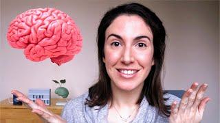 ¿Cómo funciona el cerebro? – Neurociencia para todos los públicos.