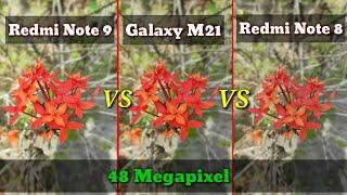 Redmi Note 9 VS Samsung galaxy M21 VS Redmi Note 8 Camera Comparison || 2020