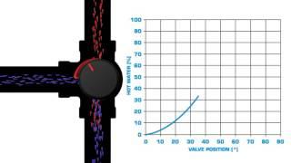 Characteristic Graph VRG valve