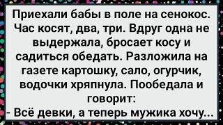 Как Бабы на Сенокос Приехали! Большой Сборник Свежих Смешных Анекдотов!