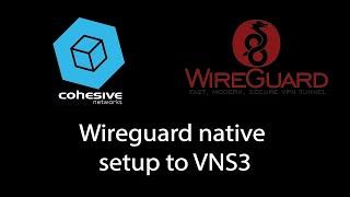 Connecting to VNS3 via the Wireguard App