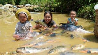 Encounter a huge school of fish - catch fish and trap fish to sell - buy clothes - milk for children