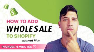 Shopify B2B/Wholesale Without Shopify Plus 2024 | No code