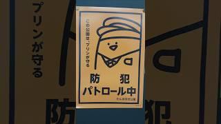 【旅日記】サンシャインシティ:お文具といっしょ たんぽぽぽこうえん展 ポスター #Shorts