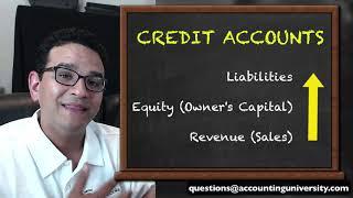 Debits and Credits Explained (Accounting Basics)