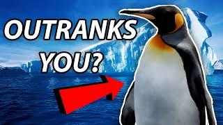 This Penguin Is MORE Important Than You | Sir Nils Olav of Norway