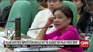 Villar says rice importation should not be blamed for palay price drop