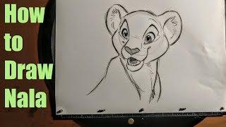 How to Draw Nala from The Lion King