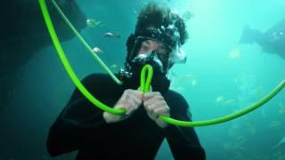 Verizon   A better network as explained by a French scuba diver