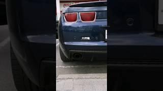 Ты узнаешь ее из тысячи #shorts #рекомендации #camaro #авто #cars