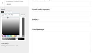 Bettr Contact Form 7 Style Editor - Labels