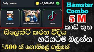 Hamster Kombat Free Mining |Hamster Kombat Combo Cards Sinhala| 5 Million Hamster Kombat Coins Daily