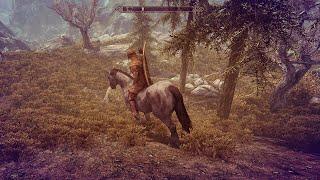 Skyrim Traveling To Markarth For A Free Horse