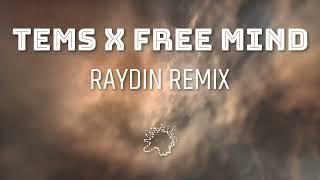 TEMS X FREE MIND X RAYDIN REMIX