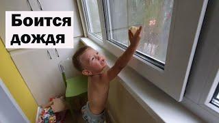 VLOG Сайбель: Вова испугался дождя / Попали в ливень, Потеряли Клима