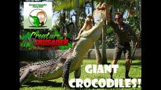 WORLDS BIGGEST CROCODILES! Top 10 Dangerous Animals in the World HD  Ep # 11 - CROC DUDE on YOUTUBE!