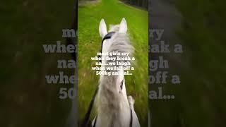 just stating facts‍️ #edit #foryou #equestrian #viral #showjumping #horses #relatable