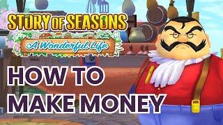 10 Early Game Money Tips in Story of Seasons: A Wonderful Life