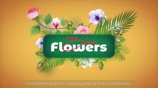 Flowers Bloom for After Effects