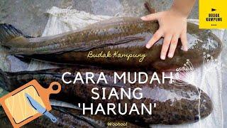 Siang Ikan Haruan 'Cara Mudah' - Budak Kampung