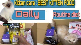 Kittencare |best cat/kitten food weaning for persian cat |how to give kitten food for healthy growth