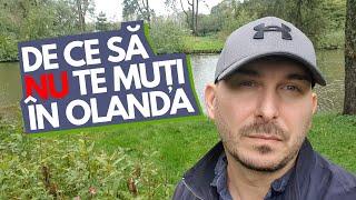 3 MOTIVE pentru care sa NU te muti in Olanda | Valabil si in 2023?