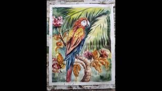 Beautiful Bird #watercolor #parrot #bigginers#art #painting #shortvideo #shorts #short #ytshorts