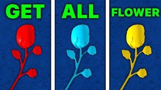 All Flower Locations to get Race V2 - Blox Fruits | 2025!