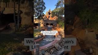 Why Splash Mountain’s Logs are Different #splashmountain #disney #disneyworld #disneyshorts