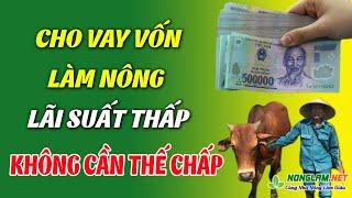 Chương Trình Vay Vốn Làm Nông Nghiệp Không Cần Thế Chấp | Vay Vốn Kinh Doanh Làm Ăn