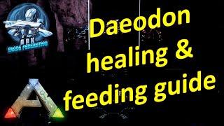 Daeodon healing & feeding guide| Ark Official PvE