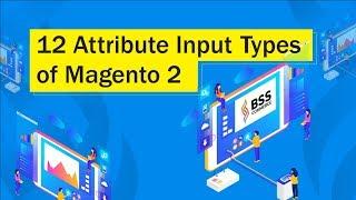 Magento 2 Product Attributes 101