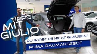 Cartalk: Ford Puma mit optimalen Raumangebot | Ford Danner | Grieskirchen