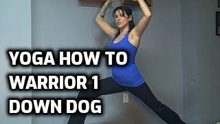 Gwen Lawrence Yoga - Warrior One and Downward Dog Pose