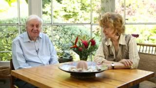 Marriage Lines starring Prunella Scales and Richard Briers