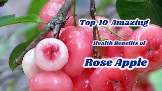 Top 10 Amazing Health Benefits of Rose Apple | Health Tips | Sky world