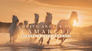 White Angels of Camargue - Europe's Last Cowboys (4K)