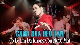 Cánh Hoa Héo Tàn Cuộc Tình Này Cũng Đã Tan Khánh Phương Remix, Có Lẽ Em Đã Không Còn Nước Mắt Domino